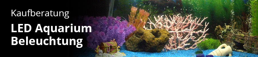 Kaufberatung für Aquarium Lampen