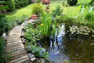 Garten Teich Seerosen