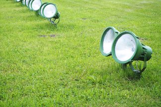 Spotlights im Garten